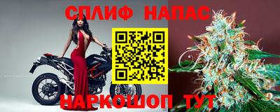 гашик Краснознаменск