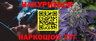гашик Краснознаменск