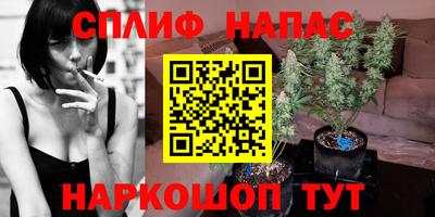 гашик Краснознаменск