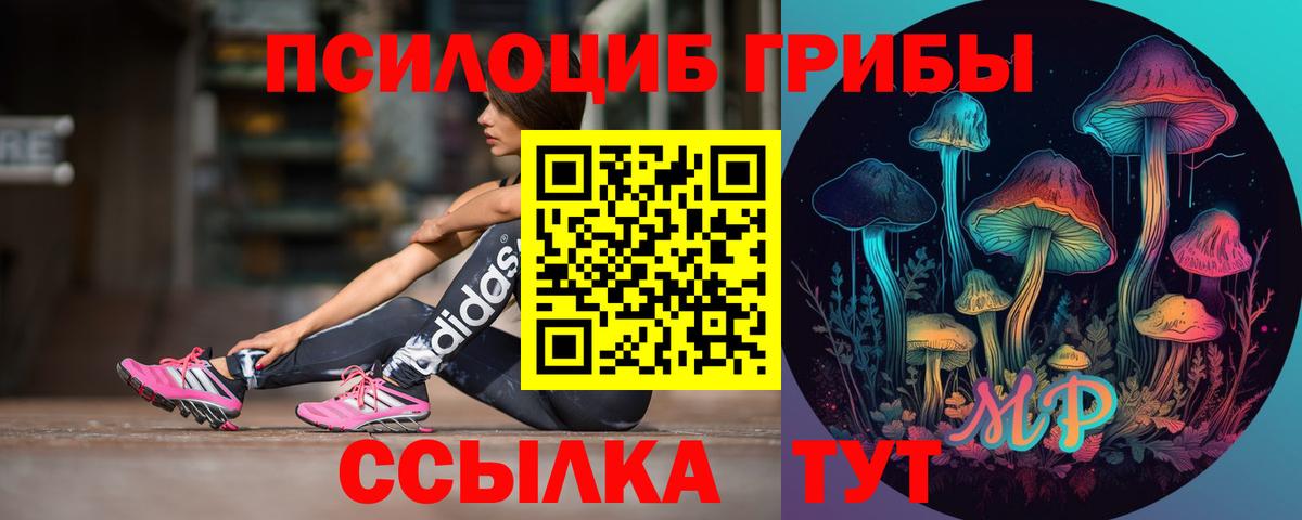 Электрогорск  Псилоцибиновые грибы мицелий  Галлюциногенные грибы MAGIC MUSHROOMS  Вход с VPN 